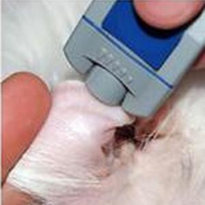Caninsulin.com Dog ear