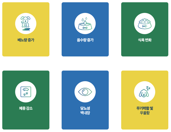 강아지 당뇨 증상에 관한 이미지