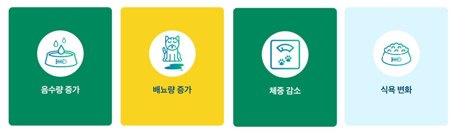 고양이 당뇨 증상 4가지 — 음수량 증가, 배뇨량 증가, 체중 감소, 식욕 변화 아이콘 카드