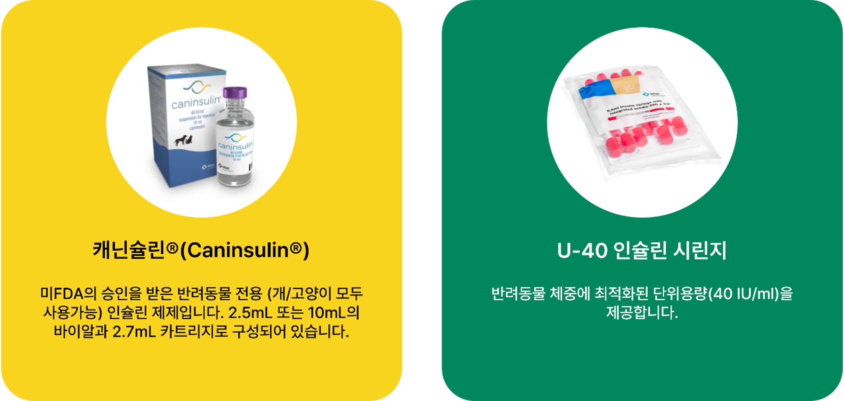 고양이 당뇨 치료에 쓰이는 캐닌슐린, U-40 인슐린 주사기